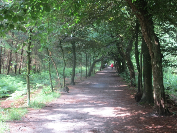 NS Wandeltocht, 5 juni 2012 017