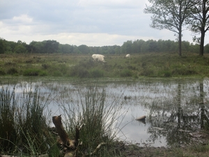 NS Wandeltocht, 5 juni 2012 027