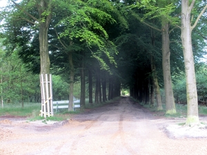 NS Wandeltocht, 5 juni 2012 010