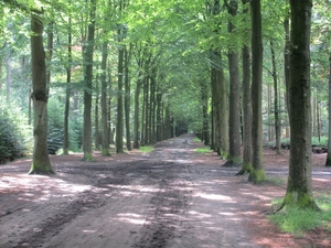 NS Wandeltocht, 5 juni 2012 011