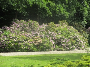 NS Wandeltocht, 5 juni 2012 021