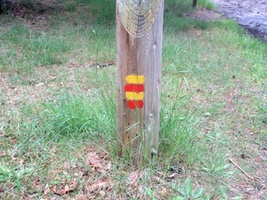 NS Wandeltocht, 5 juni 2012 039