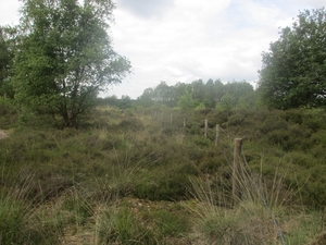 NS Wandeltocht, 5 juni 2012 041