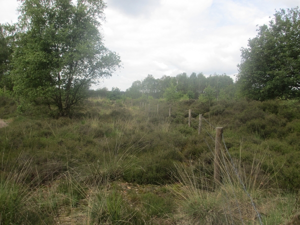 NS Wandeltocht, 5 juni 2012 041