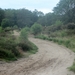 NS Wandeltocht, 5 juni 2012 042