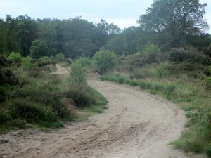 NS Wandeltocht, 5 juni 2012 042
