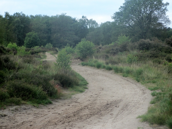 NS Wandeltocht, 5 juni 2012 042