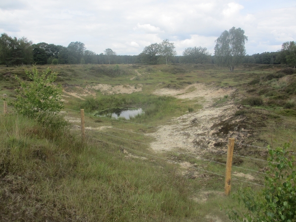 NS Wandeltocht, 5 juni 2012 043