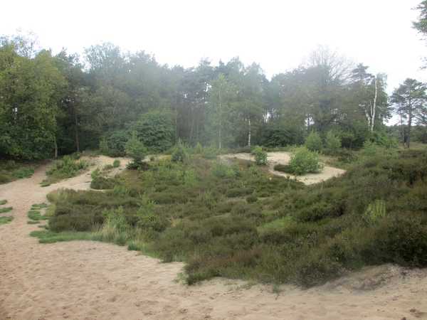 NS Wandeltocht, 5 juni 2012 046