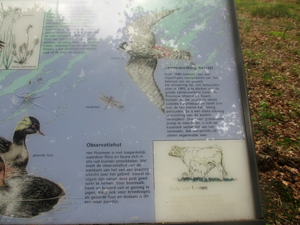 NS Wandeltocht, 5 juni 2012 052