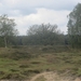 NS Wandeltocht, 5 juni 2012 044