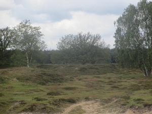 NS Wandeltocht, 5 juni 2012 044