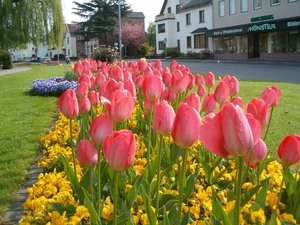 AHRWEILER APRIL 2006 074