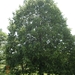 DSCN1925