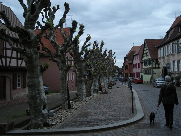 Alsace (175)