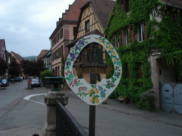 Alsace (187)