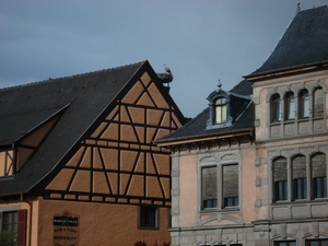 Alsace (195)
