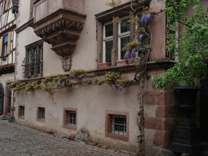 Alsace (221)