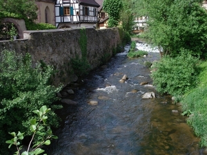 Alsace (245)