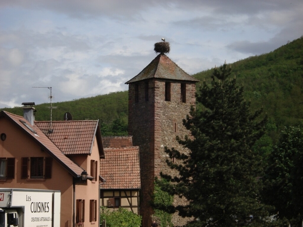 Alsace (254)
