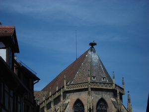 Alsace (279)