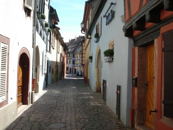 Alsace (290)