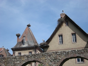Alsace (331)