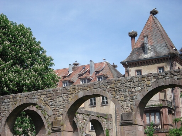 Alsace (332)