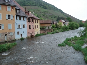 Alsace (366)