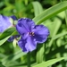 013