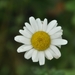 027