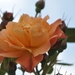 028