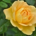 029