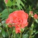 033