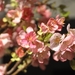 058