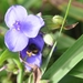 017