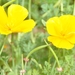 065