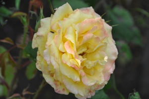 012