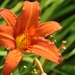 050