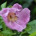 038