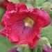 062