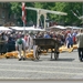 Alkmaar Kaasmarkt