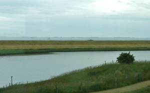 Zicht op Oosterschelde