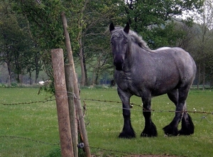in Vlaams Brabant