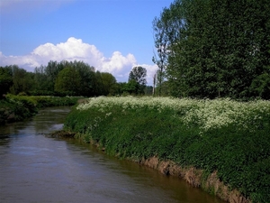 bijna droog gebleven
