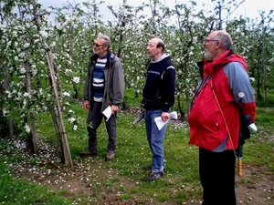 Bloesem in Bekkevoort