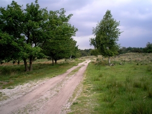 Naar de Plateaux