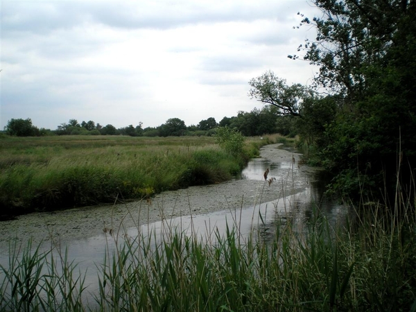 Langs de Dommel