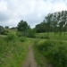 2012-06-08 Zingem 039