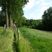 2012-06-08 Zingem 043